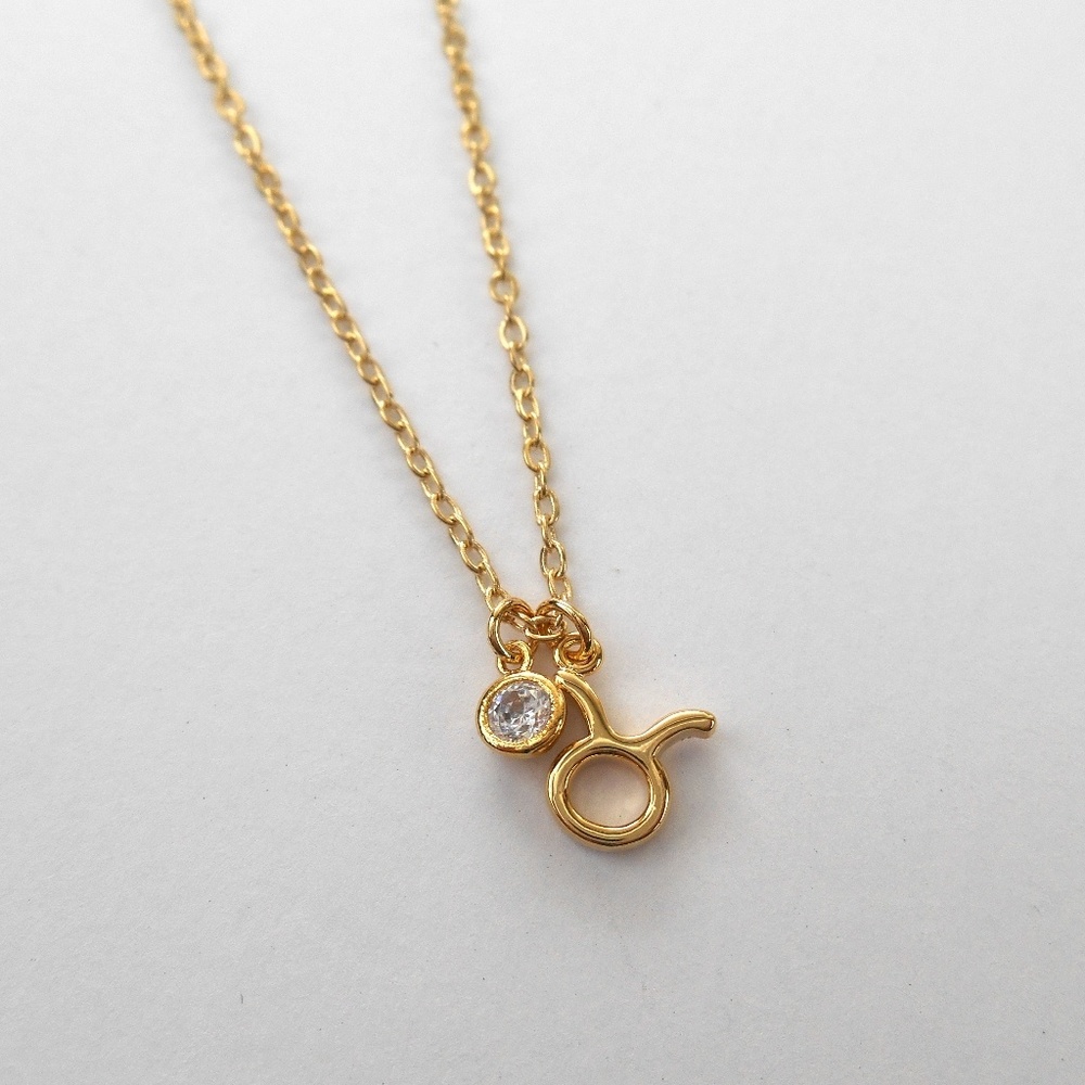 Astrological Zodiac Pendant Necklace - Picture 4 of 7